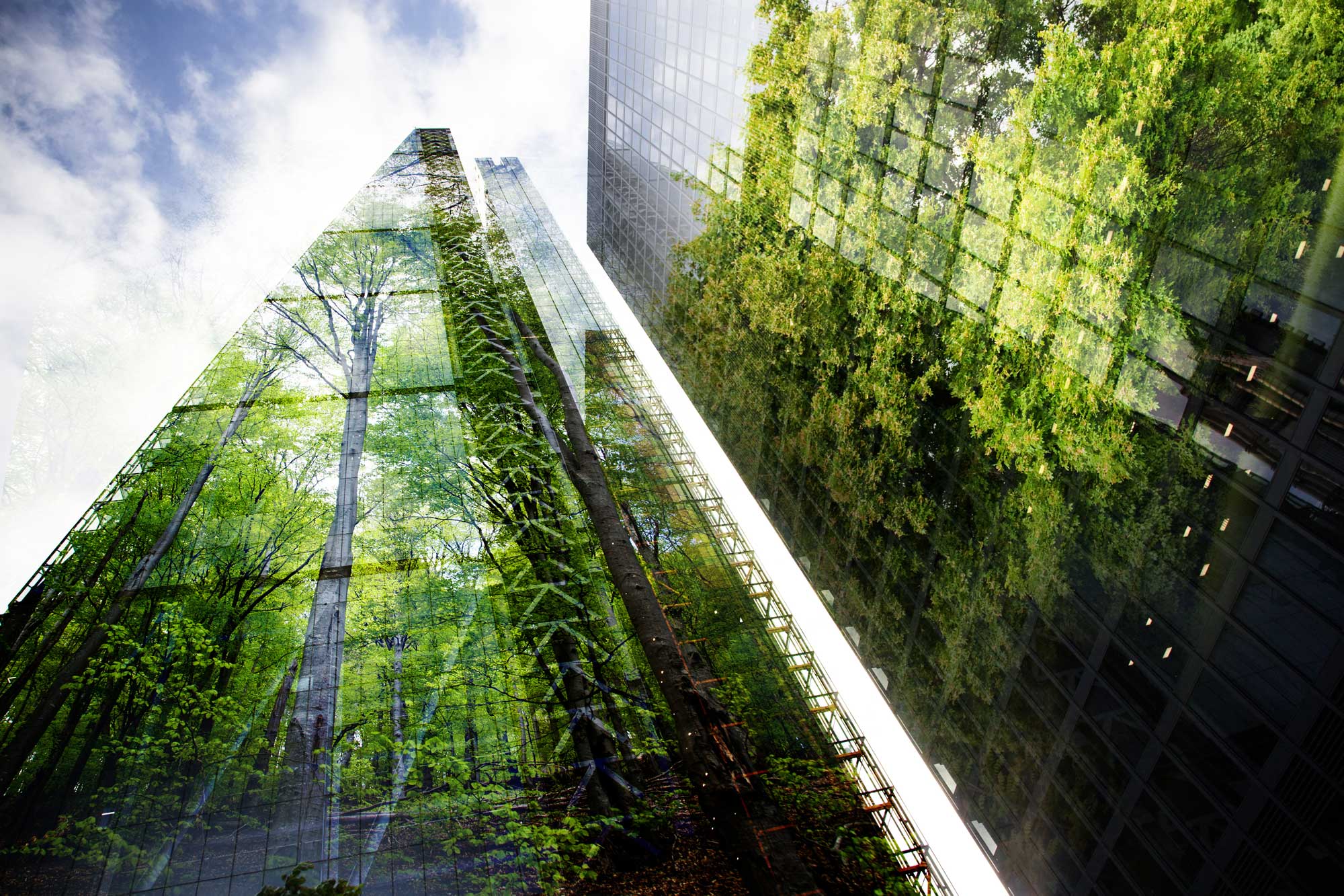 The Ultimate Guide to Sustainable Construction: Building Green for a Better Future